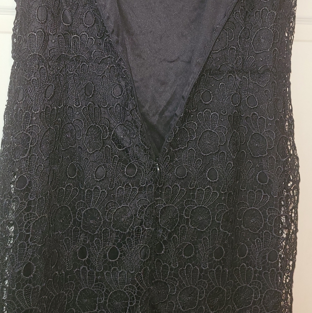 C1 Dressbarn Lace Dress - Picture 8 of 8